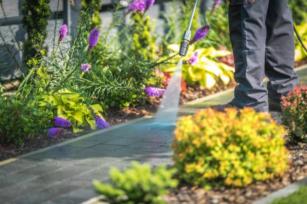 Best Fence Cleaning  in Cahokia, IL